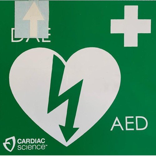 Panel indicador presencia DAE 20x20 cm